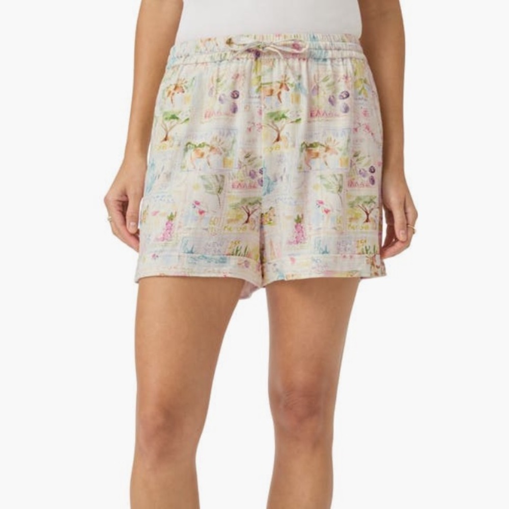 Splendid Coastal Postcard Shorts